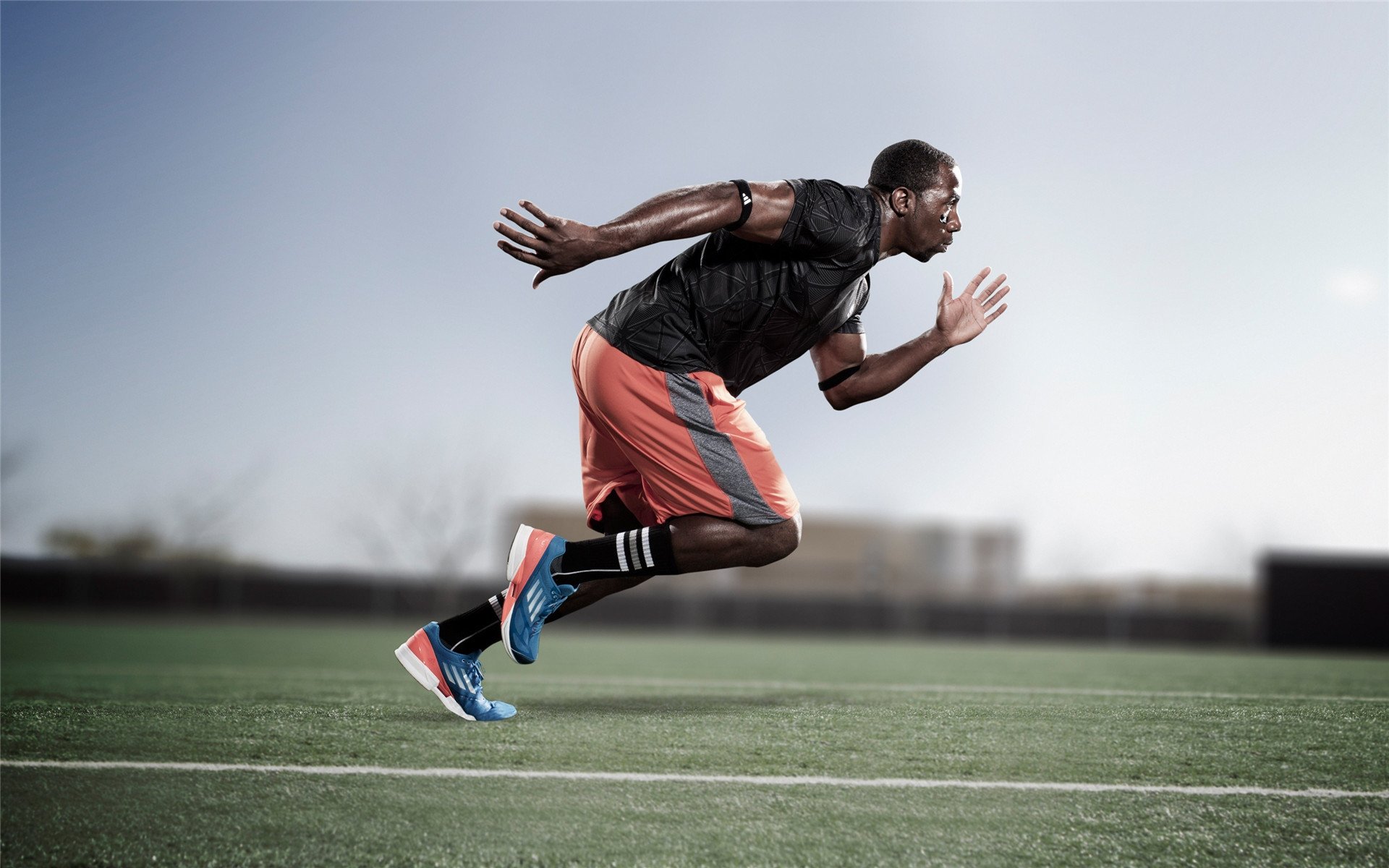 体育新闻中心协办全国体育数据应用技术交流会,体育大数据中心